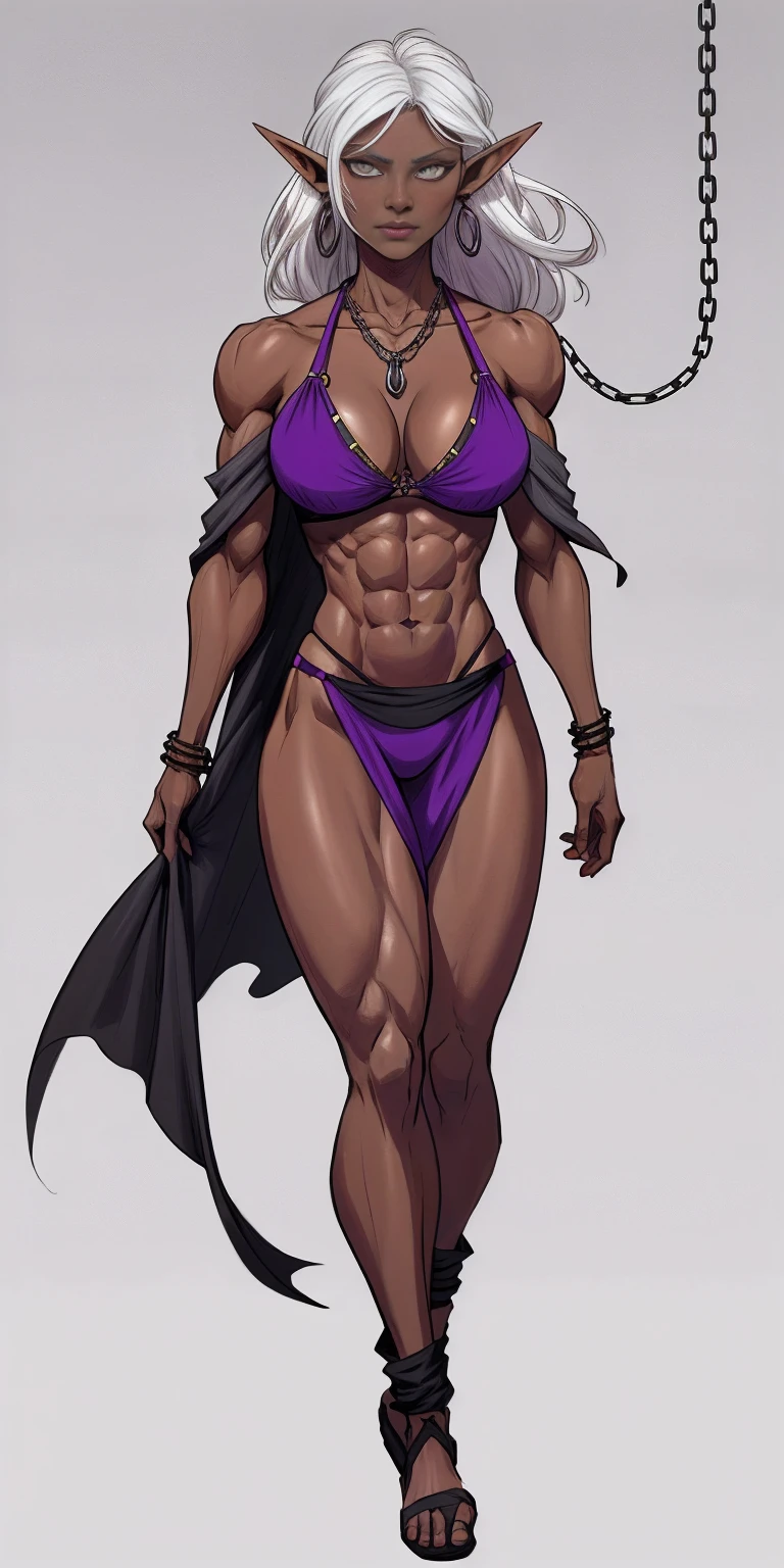 Appearance
Gender: Female
Age: Mature
Race: Drow (elf with dark skin and white hair)
Height: Full-body
Skin: Gray
Skin: Gray
Background: Plain Gray
Eyes: Purple
Attire: Bikini, revealing abdominal muscles
Accessories: Large earrings, ragged rags, chain necklace