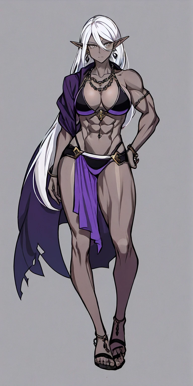 Appearance
Gender: Female
Age: Mature
Race: Drow (elf with dark skin and white hair)
Height: Full-body
Skin: Gray
Skin: Gray
Background: Plain Gray
Eyes: Purple
Attire: Bikini, revealing abdominal muscles
Accessories: Large earrings, ragged rags, chain necklace