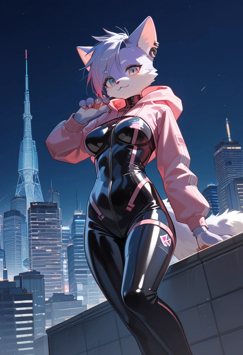Highest quality, Highest quality, High quality illustrations, masterpiece, Ultra-high resolution, Detailed Background, skyscraper, rooftop, night, Absurd, Perfect Anatomy, performance, Good lighting, Shadows in the movies(kemono, Furry PersonifiCation), Cat, Rubber Suit, latex, neon, neonライト, neonカラー, Bodysuits, Cyber Suit, cyber punk, Pink Rubber Hoodie, Bottle, Earrings, Tattoo Dynamic Angle