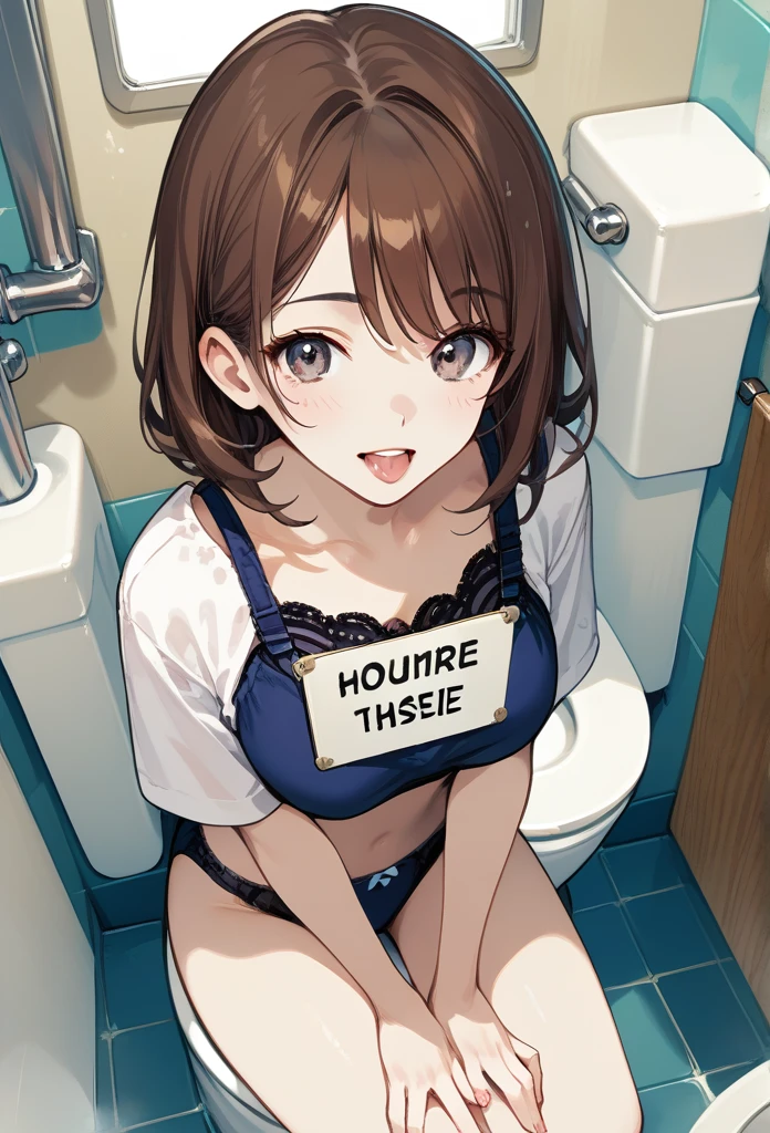 masterpiece, best quality, mature woman, Fukada Eimi, Eimi Fukada, brunette hair, sharp eyes, curvy body, bathroom, kneeling, bra, panties, besides urinal, above view, front view, tongue out, (holding sign, toilet sign, male toilet), hand on thigh