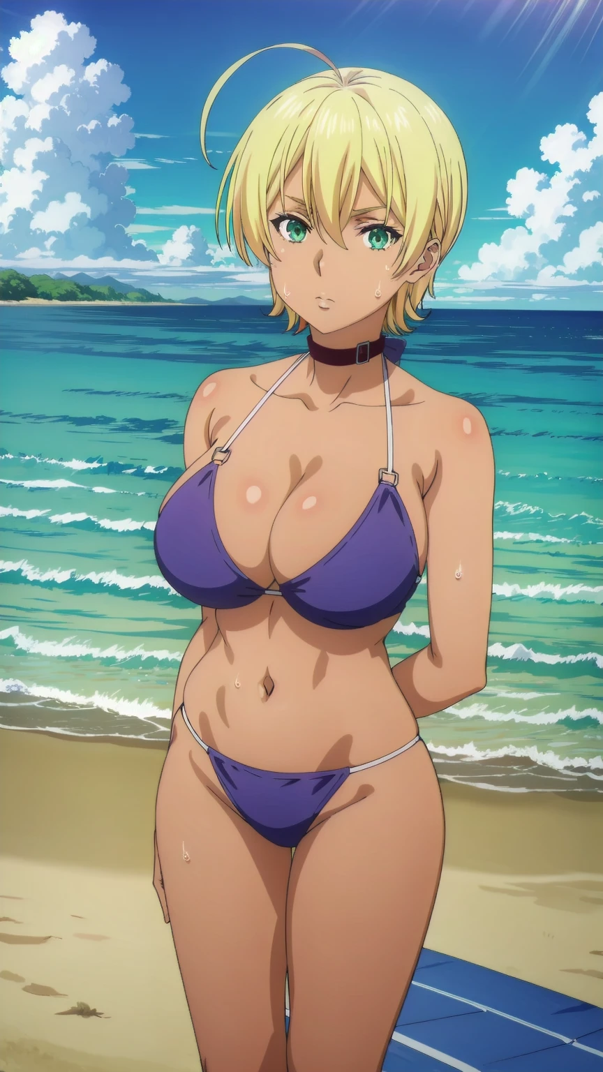 tall body, tall, long legs, mature female, mature, adult, Shokugeki_Ikumi, 1girl, breasts, blonde hair, solo, green eyes, dark skin, dark-skinned female, short hair, sweat, navel,ahoge, cleavage, hair between eyes, closed mouth, looking at the viewer, blue theme, blue background, cloudy sky, sunlight, sweat, orgasmic, bikini swimsuit,Huge Breasts, cleavage, belly button exposed, collarbone, thighs, sea and beach,