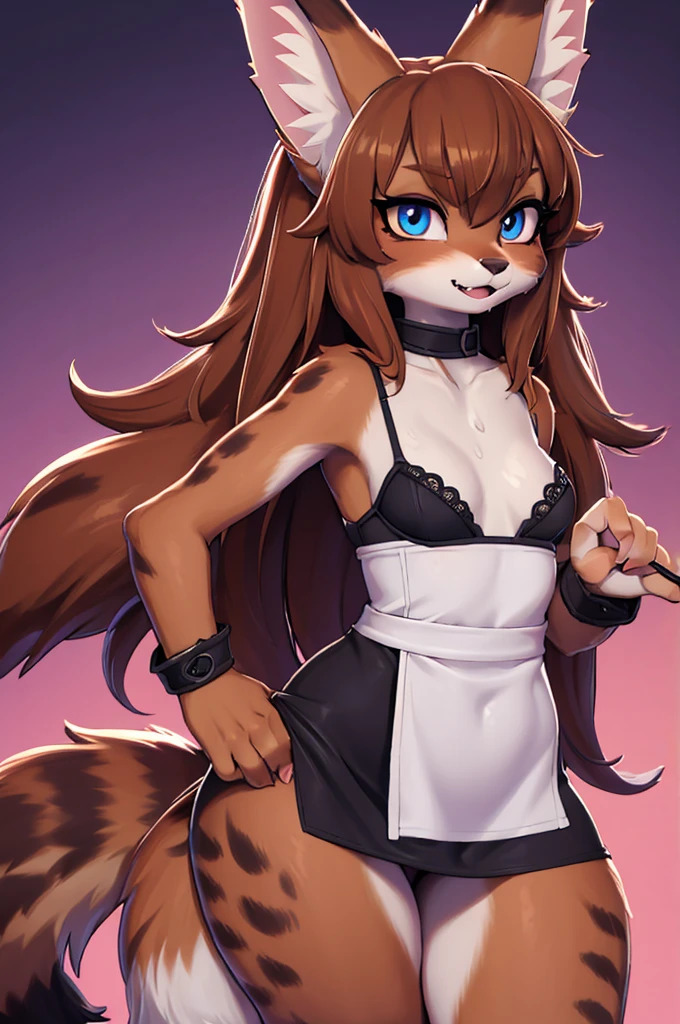 feral,fox, masterpiece, best quality holo is a wolf girl,fox tail, furry art!!!, curvy ,thick thighs,expressive eyes, (brown fur skin), wolf ears, messy hair, feral), furry, stocking, sweaty, plump body type,Serval, (slim, fit), fox, wolf girl,fangs, neck fur tuft, (flat-chested), collarbone, sharp eyeliner, eyeshadow, (detailed eyes:1.4),china dress, , wet towel, Mesh Skirt Lingerie,
