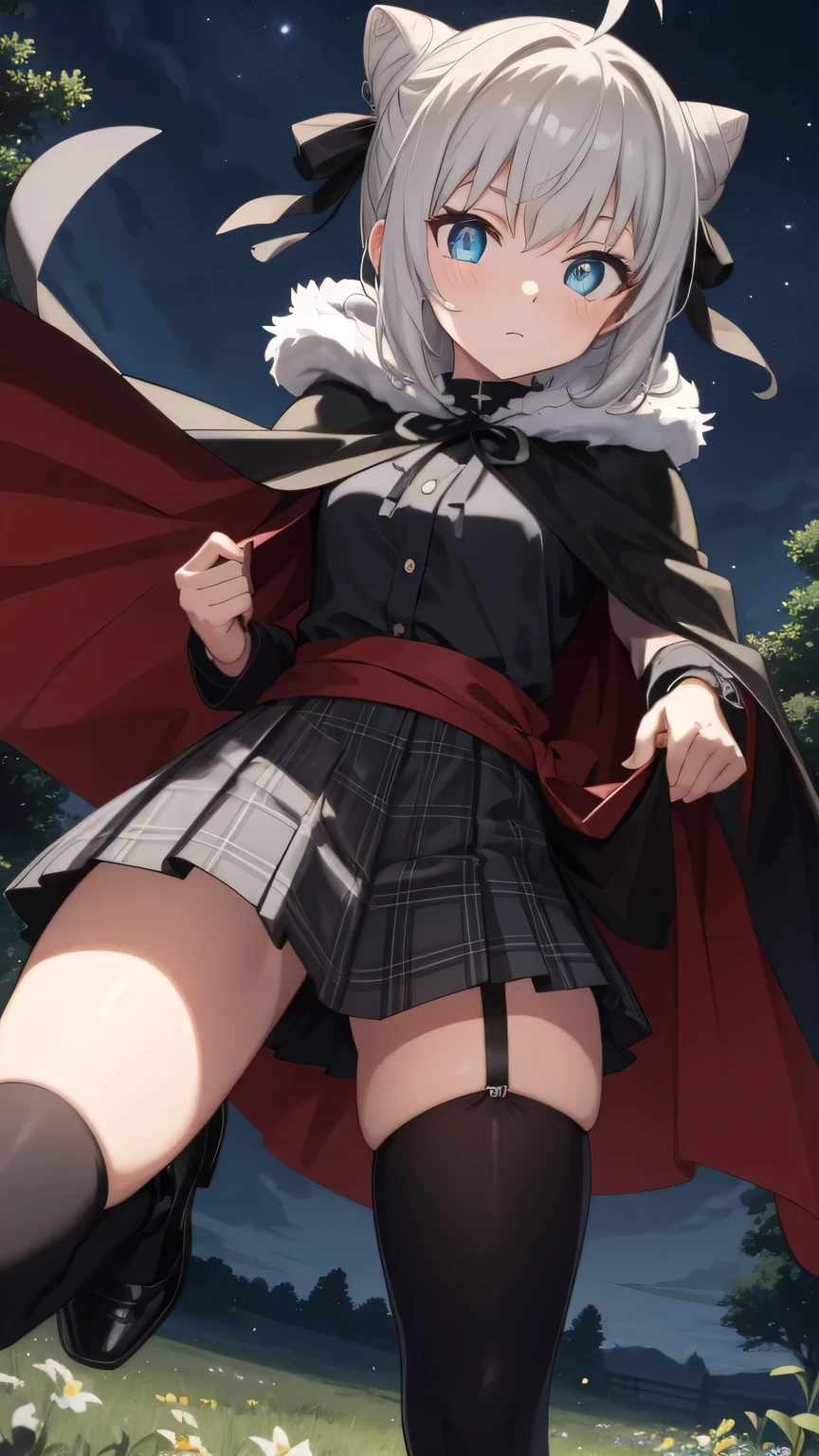 {{{masterpiece}}}, {{{best quality}}}, {{ultra-detailed}}, {illustration}, {{an extremely delicate and beautiful}}, (beautiful detailed eyes:1.6), extremely detailed face, 16k, anime face, fgogray, gray(Fate Grand Order), cute face, blue eyes, short hair, grey hair, ahoge, hair bun, hair ribbon, ribbon, medium breasts, thin waist, big hips, curvaceous,
BREAK hair bun, hair ribbon, ribbon, black cape, black footwear, black ribbon, black shirt, black thighhighs, cape, grey skirt, hood, long sleeves, miniskirt, plaid, plaid skirt, pleated skirt, ribbon, shirt, skirt, solo, thighhighs, zettai ryouiki,
BREAK spread legs, standing, cool face, expressionless, looking at viewer, outdoor, sky, night, church, forest, field, peer in from below, Dutch angle