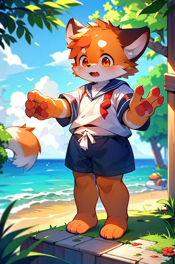 Red Panda Boy,8k resolution,Furry, Ocean,Sailor suit,Red collar,Two legs,Stand up on your own two feet! Towering,spindly,spindly,Drooling,cooked rice