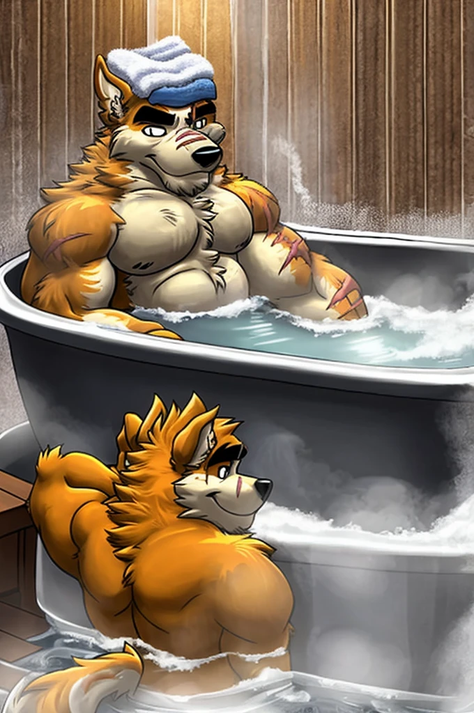 best quality, cooperrtf,hairy, dog, male, muscular, Solitary,Black pupil, black eyes, Thick eyebrows, Orange fur, Brown fur, (Scars on eyes:0.9), Fluffy, Tail, bath,Towel on head