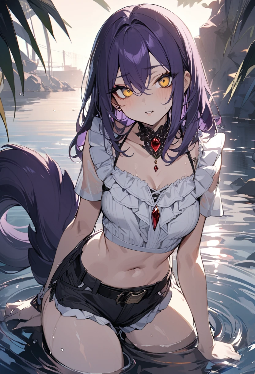 1 girl, masterpiece, best quality, fair skin, golden eyes, big eyes, dark purple hair, side tail, frills on shorts, black belt, red jewel, water, anime