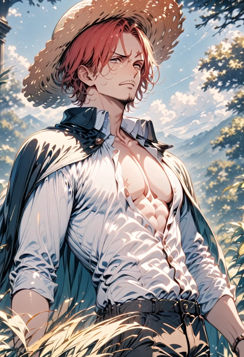 (masterpiece, best quality), intricate details,
1boy, man, red hair, straw hat, Shnks, shanks \(one piece\), scar on face, short hair, shirt, white shirt, male focus, open clothes, collared shirt, pants, cape, coat, open shirt, facial hair, scar, sandals, pectorals, partially unbuttoned, pectoral cleavage, coat on shoulders, nature, scenery, upper body, straw hat,