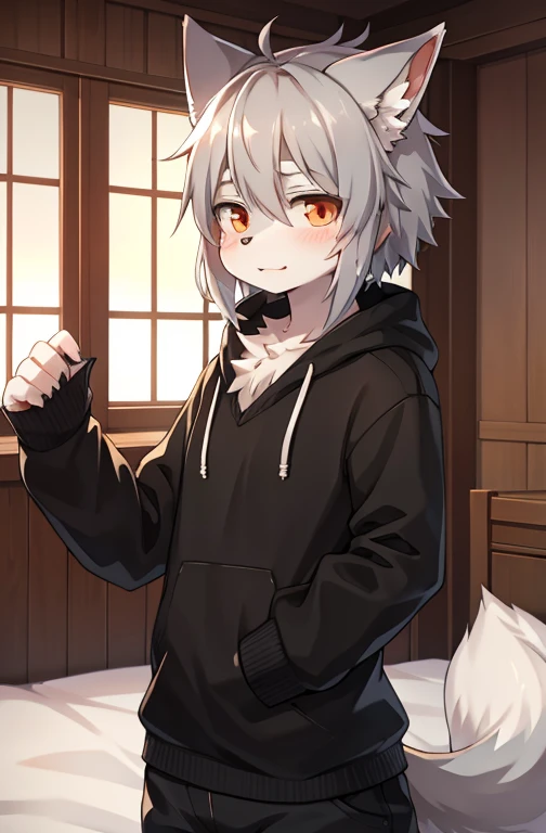 一个带着项圈身穿白色背心和短裤的男孩站在牢房的Anime style形象., Gray werewolf, 4kAnime style,Gray hair anime boy., Anthropomorphic wolves, Trending on ArtStation Pixiv, in the room, Digital Anime Illustration, Anime style, By Yumi
