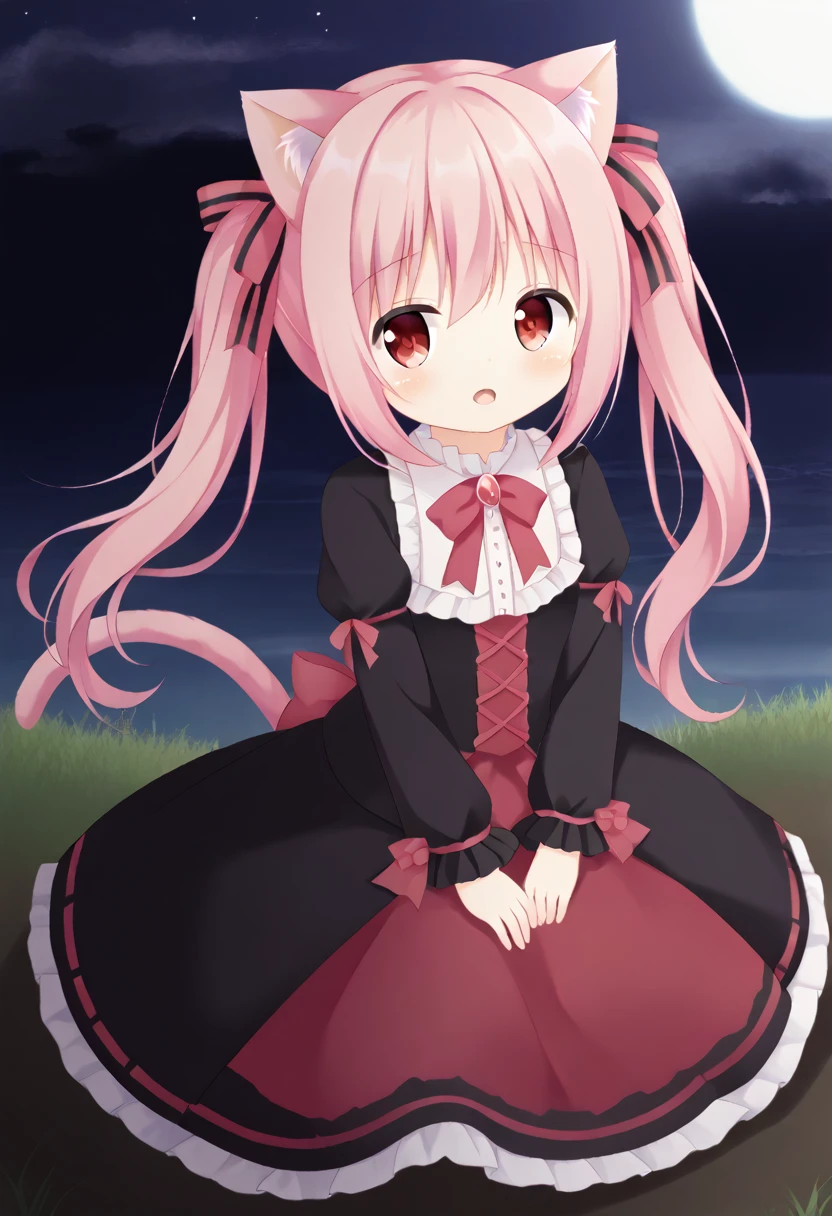 Cat ear、Pink Hair、Drooping eyes、Pigtails、Lolita