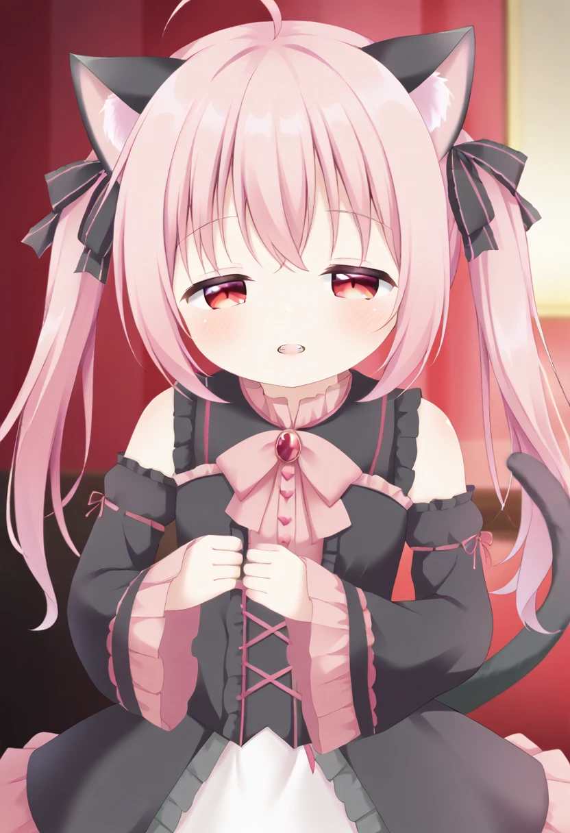 Cat ear、Pink Hair、Red eyes、Half-closed eyes、Looking at me、Moe sleeves、Ahoge、Double teeth、Black cat、 Straight bangs、ta pink、Pigtails