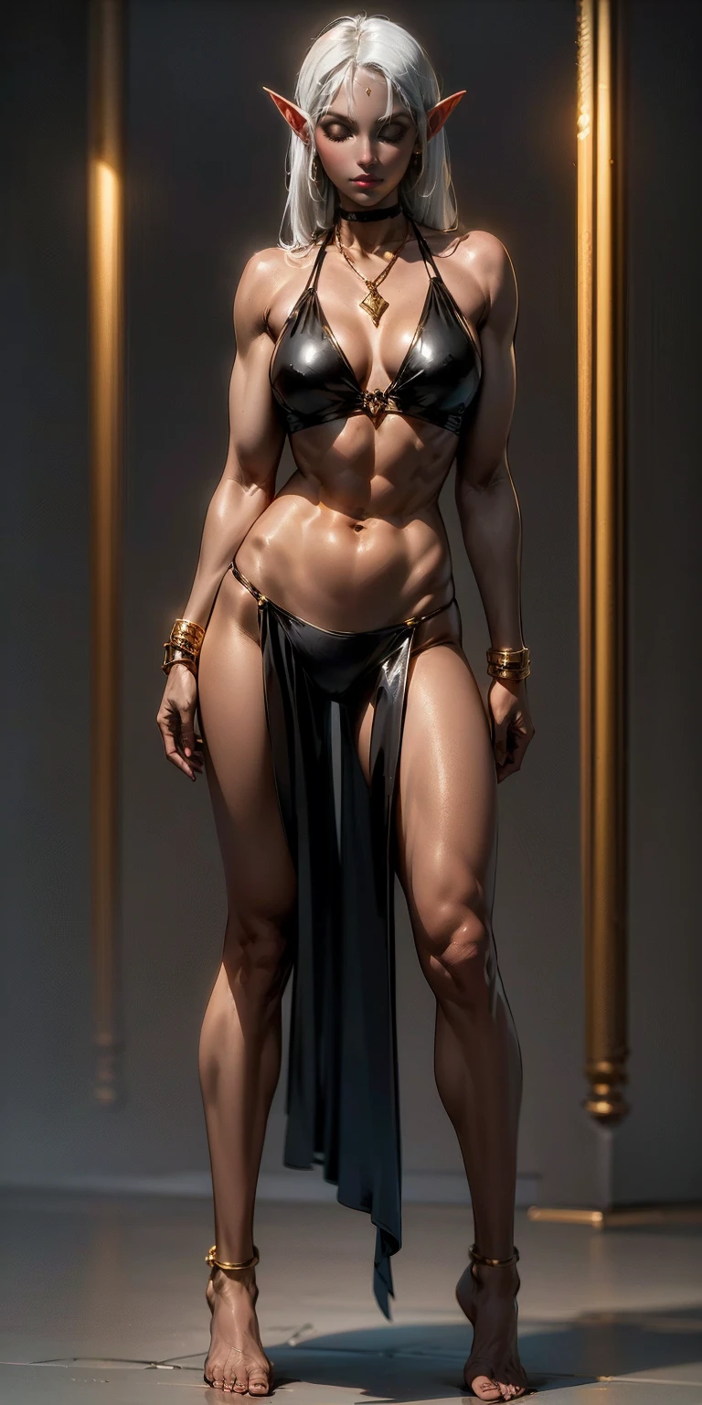 Appearance
Gender: Female
Age: Mature
Race: Drow (elf with dark skin and white hair)
Height: Standing upright and symmetrically
Head: Facing the viewer
Skin: Gray
Background: Plain Gray
Eyes: Purple
Body: Full body toe to head revealing abdominal muscles
Attire: Golden bikini, Golden handcuffs on wrists, Black leather choker with a golden heart pendant
Accessories: Golden large earrings, golden chain necklace