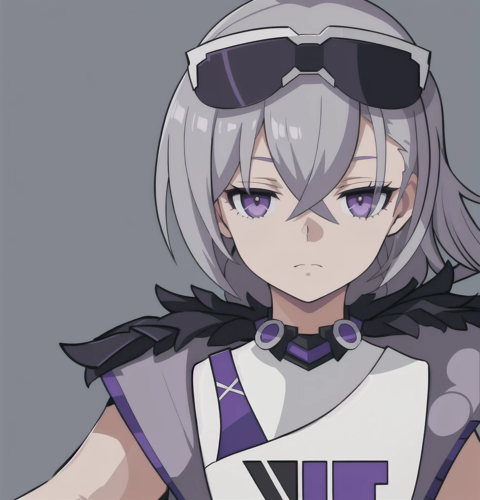 anime girl, grey hair, black eyes, purple clothes, silver wolf, white shirt, 1girl, masterpiece, raised eyebrow, sarcastic expression (beautiful and aesthetic:1. 5), thick black lineart, clean lineart, perfect lineart, variable lineart, clean anime outlines, intense line art, bold lineart, sharp lineart, best quality, high quality, best quality, ultra-detailed, colourful, saturated colours, dynamic lighting, HD,