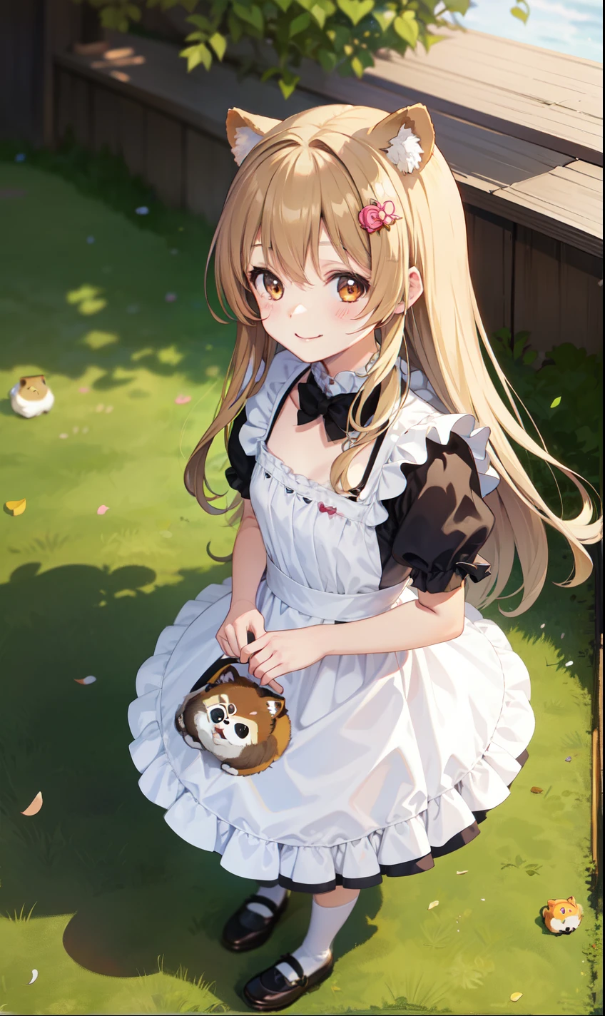 girl、1 person、smile、Tanuki girl、Maidコスチューム、Maid、(Small breasts)