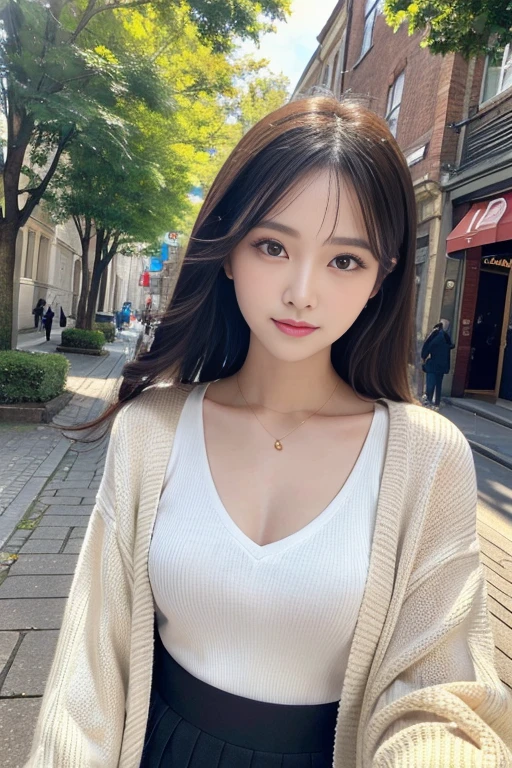 (masterpiece:1.3),(High resolution, Highest quality,Ultra high definition), 8k,One woman, Very beautiful face,Very delicate and beautiful,Beautiful attention to detail,Highly detailed face,double eyelid,Chest-length hair,Extremely detailed and realistic skin,Sharp focus,Black Hair, Random Hairstyles,smile,cardigan,Fluttering Skirt,((outside,In town)),From the waist up