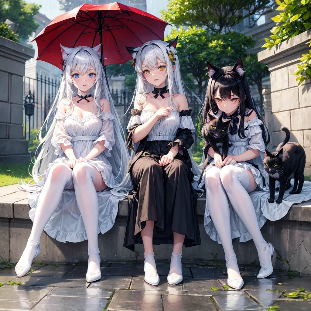 Three cats in the rain, the first ones are completely white; the first one with both blue eyes and the second cat has both red eyes.


The third cat is completely black., with yellow eyes. They are all leafy and beautiful.