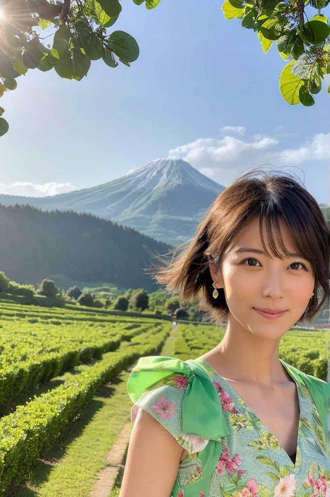((Highest quality)), ((masterpiece)), (detailed),Perfect Face,Japanese,landscape,Mature Woman,Upper Body