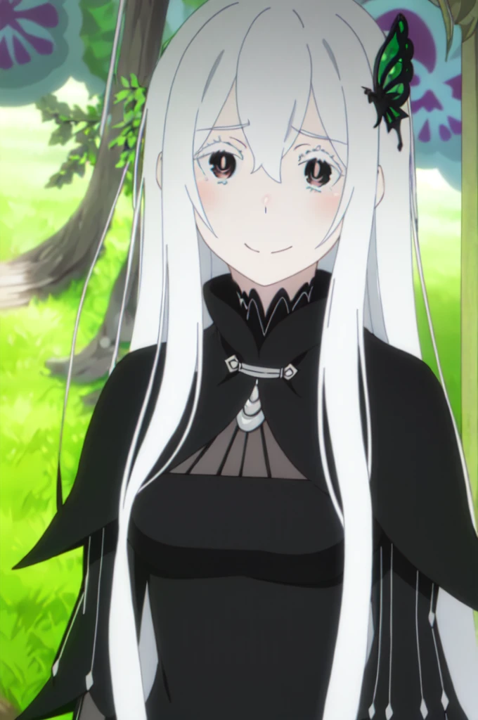 (masterpiece:1.2, Highest quality), (Beautiful, detailed eyes:1.2), (Beautifully detailed face), colorful, Hyper Detail, Intricate details, wallpaper, 1 girl, alone, echidna, Black Dress, (Detailed fantasy outdoor background), Large Breasts, View your viewers, smile, Side Lock, Long white hair, hair ornaments, [belly button], Upper Body, Long sleeve, blush,