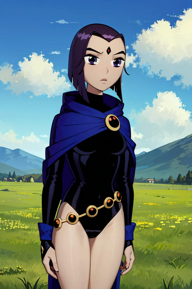 masterpiece, best quality, 1girl, rachelroth, purple hair, short hair, purple eyes, (grey skin), (colored skin), forehead jewel, leotard, belt, cape, closed mouth, standing, solo,  solo, blue sky, cloud, grass, meadow background 