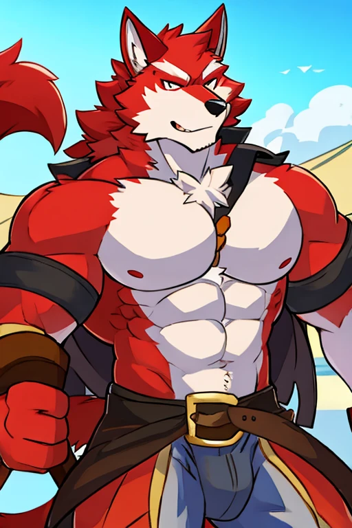 Wolf with red fur and white fur, pirate, muscular, with red tail