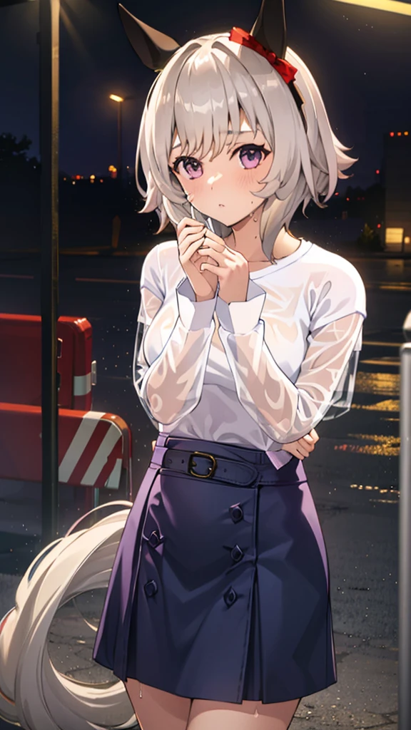 The clothes are wet, (Y-shirt is transparent: 1.4), skirt, (Unbroken body), (Perfect body structure), (arms two), (legs two), highest quality, 4K, (High resolution: 1.3) masterpiece , 1.2, Super detailed, HDR, Studio Lighting, Sharp Focus, Bright colors, Portrait, Warm tones, Soft Lighting,A bus stop in the evening rain、