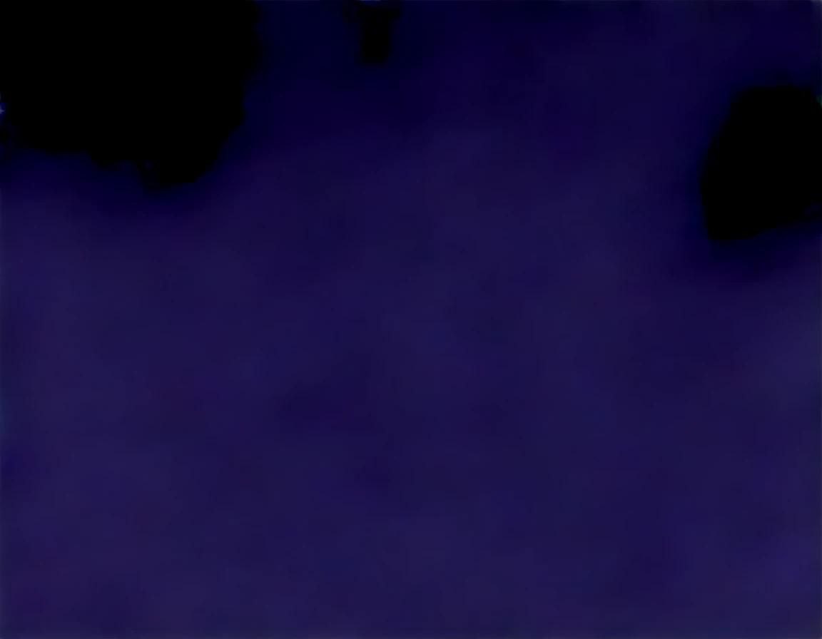 Duo, score_9, score_8_up, score_7_up, score_6_up, score_5_up, score_4_up, source_furry, raven team leader, bear, mammal, anthro, black furry body, blush, (black furry torso, black breasts, black belly):1.3, emanata, breasts, solo, eye scar, facial scar, female, fur, hood, she is on all fours, ahegao, sex, cowgirl position sex, squatting sex, she is fucking a human male, male is cropped out, outdoors on a grassy field, simple background,
