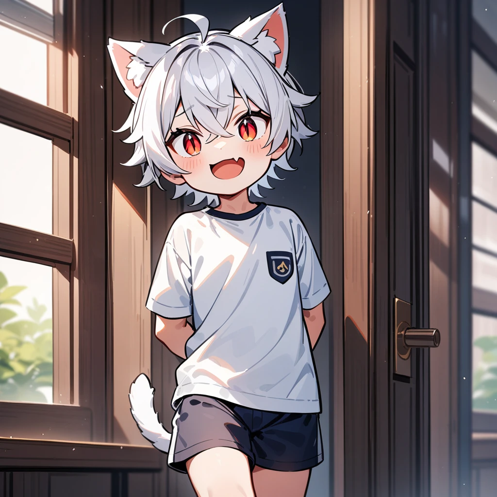 (masterpiece:1.2,high quality),4K,High resolution,A four-year-old boy,cute boy, white hair,short hair,crossed bangs,red eyes,slit pupils, ahoge,cat ears,laughing,skin fang,Wearing a white shirt,dark blue sports shorts,Standing in the room,Next to it is the window,curtain,primary school student,thigh,alone,cat tail,((Hands behind your back))
