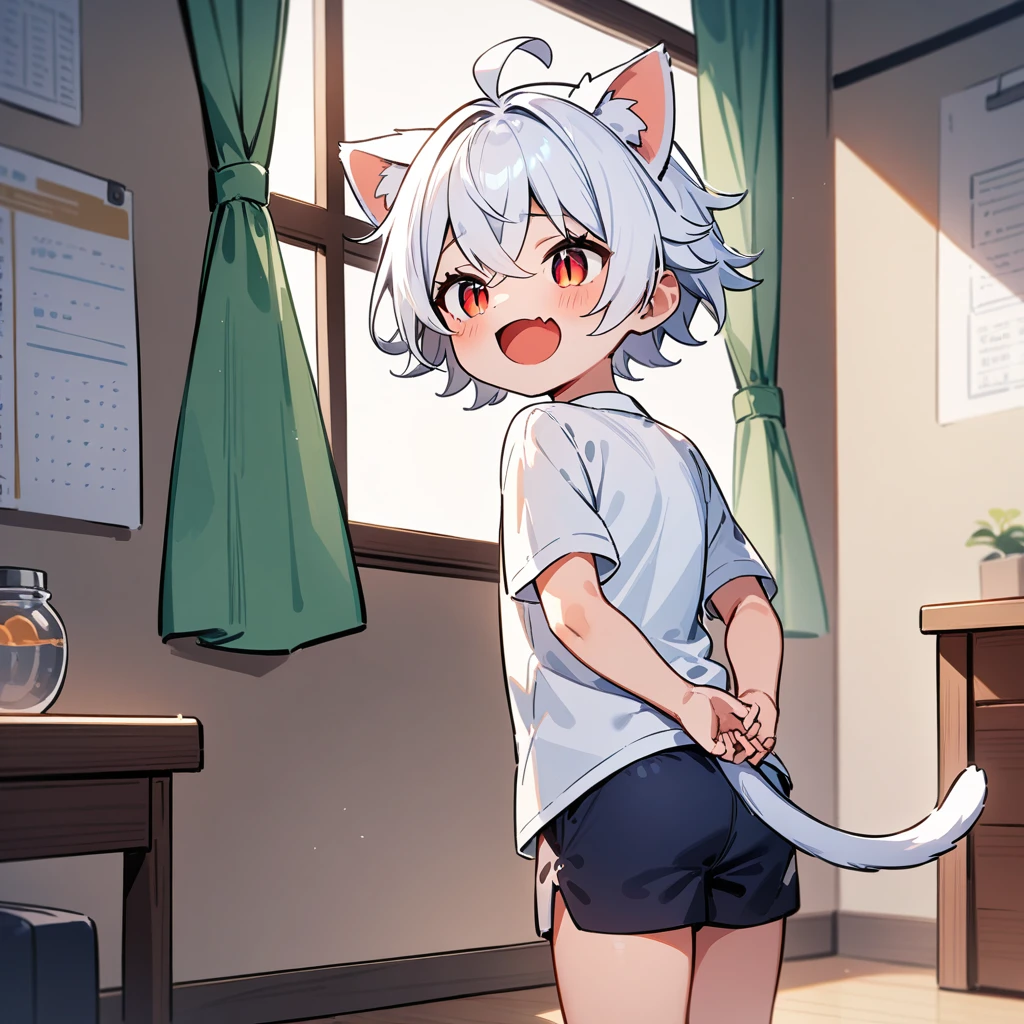 （masterpiece：1.2，high quality），4K，High resolution，A four-year-old boy，cute boy， white hair，short hair，crossed bangs，red eyes，slit pupils， ahoge，cat ears，laughing，skin fang，Wearing a white shirt，dark blue sports shorts，Standing in the room，Next to it is the window，curtain，primary school student，thigh，alone，cat tail，((Hands behind your back))