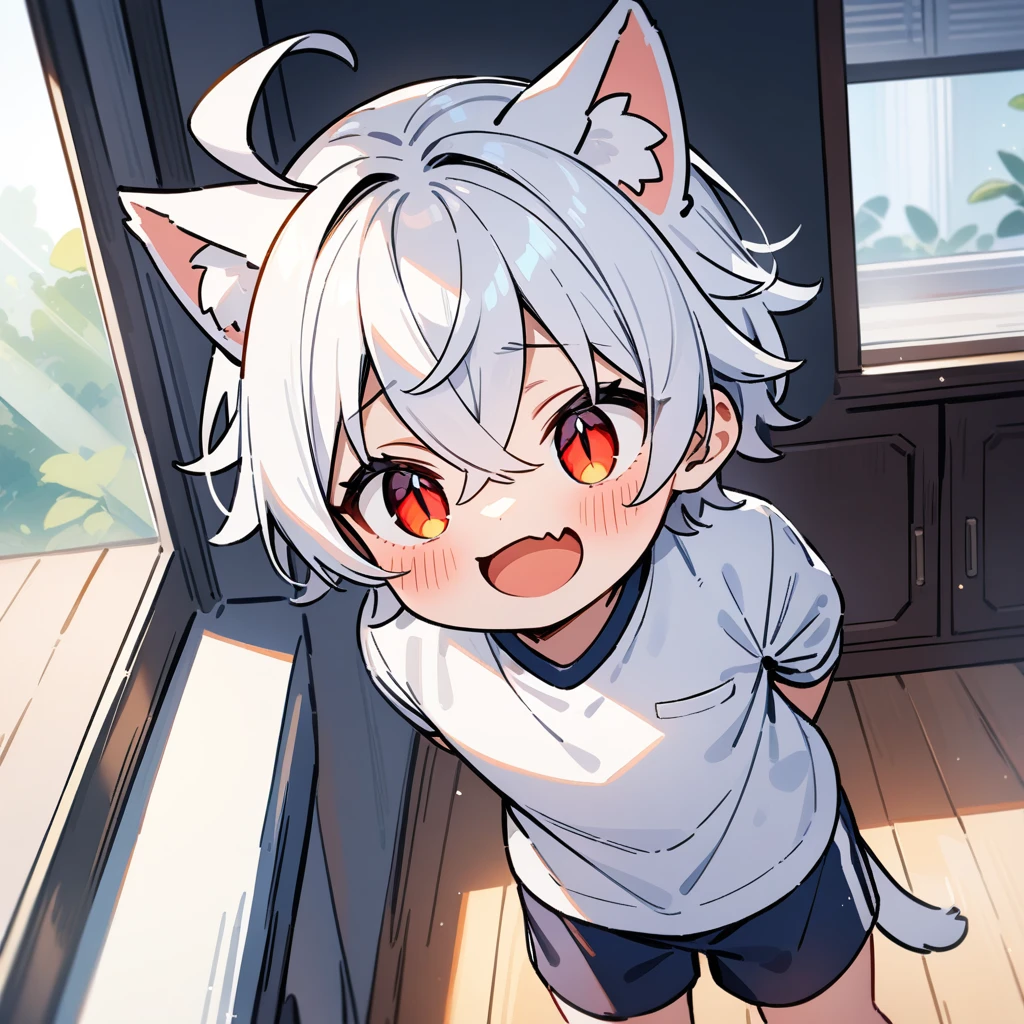 (masterpiece:1.2,high quality),4K,High resolution,A four-year-old boy,cute boy, white hair,short hair,crossed bangs,red eyes,slit pupils, ahoge,cat ears,laughing,skin fang,Wearing a white shirt,dark blue sports shorts,Standing in the room,Next to it is the window,curtain,primary school student,thigh,alone,cat tail,((Hands behind your back))