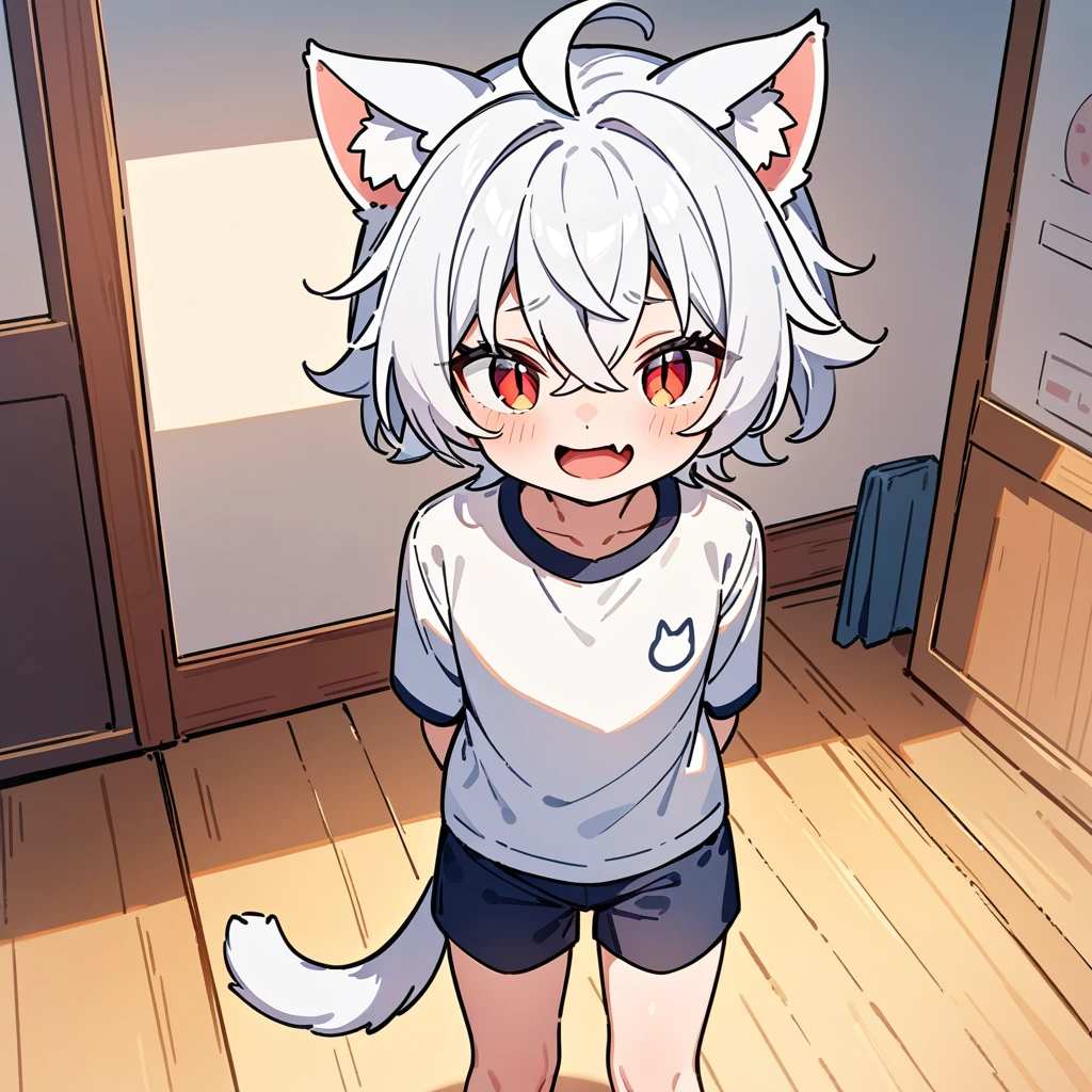 (masterpiece:1.2,high quality),4K,High resolution,A four-year-old boy,cute boy, white hair,short hair,crossed bangs,red eyes,slit pupils, ahoge,cat ears,laughing,skin fang,Wearing a white shirt,dark blue sports shorts,Standing in the room,Next to it is the window,curtain,primary school student,thigh,alone,cat tail,((Hands behind your back))