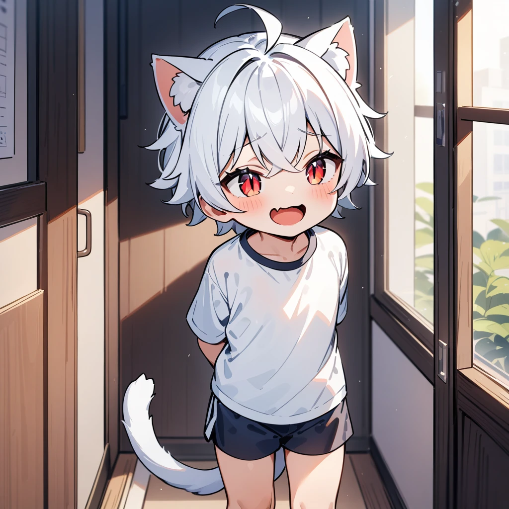 （masterpiece：1.2，high quality），4K，High resolution，A four-year-old boy，cute boy， white hair，short hair，crossed bangs，red eyes，slit pupils， ahoge，cat ears，laughing，skin fang，Wearing a white shirt，dark blue sports shorts，Standing in the room，Next to it is the window，curtain，primary school student，thigh，alone，cat tail，((Hands behind your back))