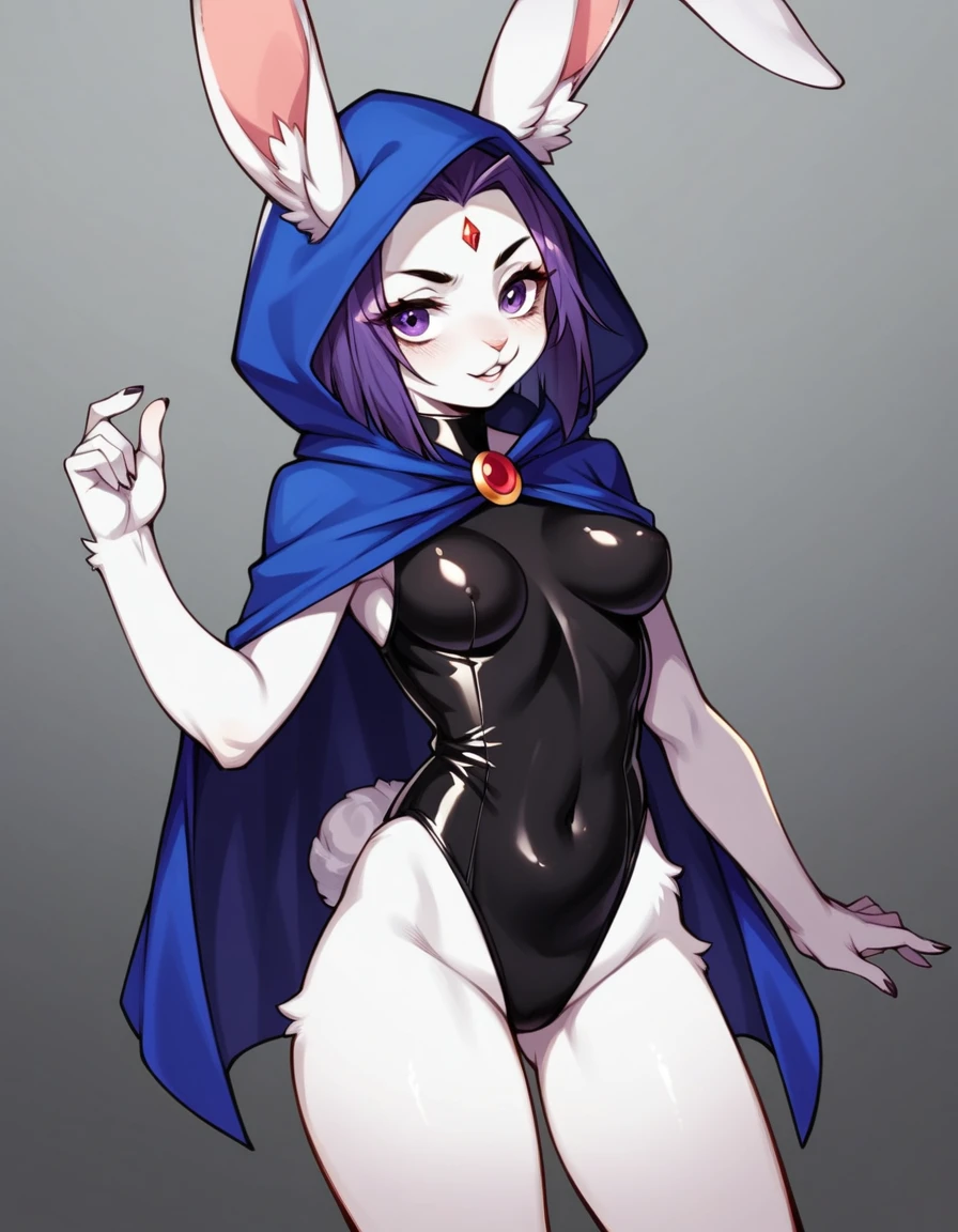 score_9, score_8_up, score_7_up, score_6_up, score_5_up, score_4_up, source_furry, kemono style, Anthro girl, raven titans, short purple hair, she is an Anthro white rabbit girl, long white rabbit ears, furry white bunny girl, (furry white furred body, fluffy body):2, wearing black leotard, blue hooded cloak, face shrouded in shadow