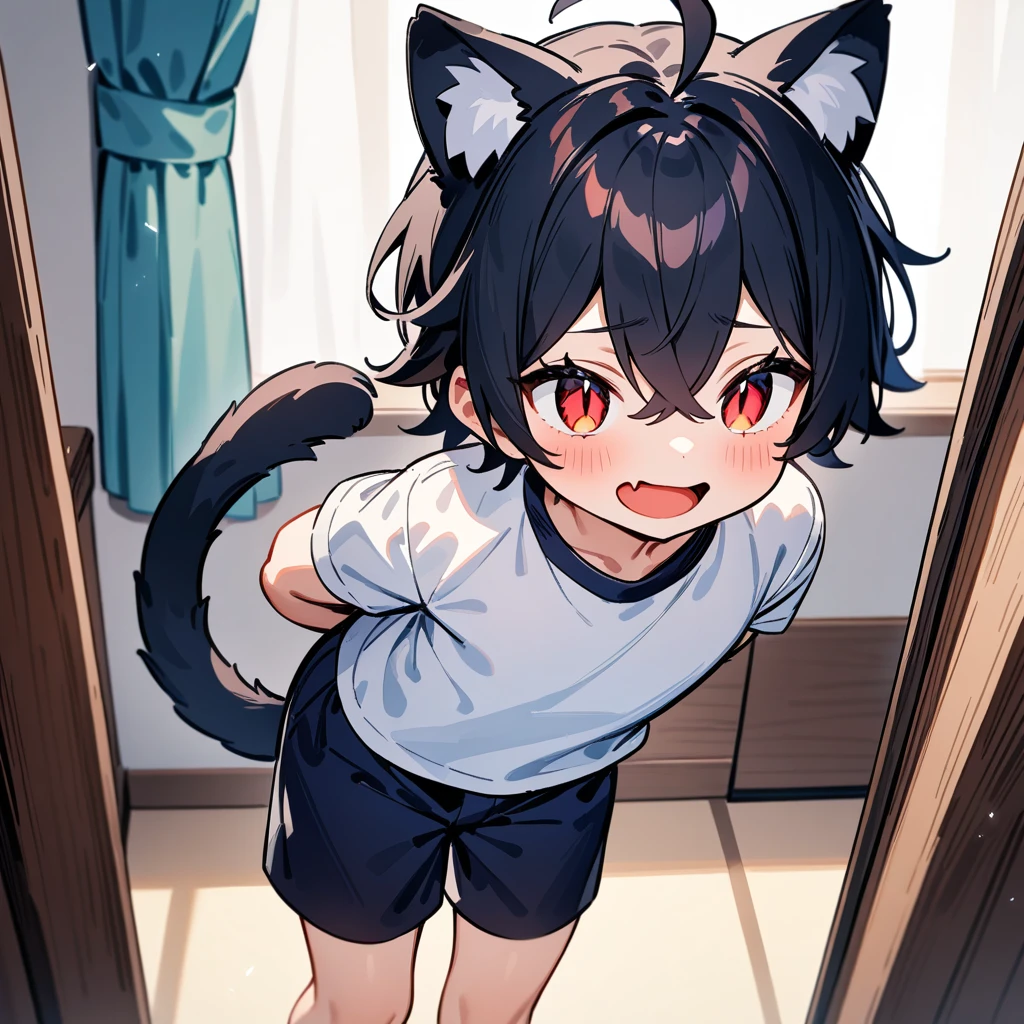 (masterpiece:1.2,high quality),4K,High resolution,A four-year-old boy,cute boy, black hair,short hair,crossed bangs,red eyes,slit pupils, ahoge,cat ears,laughing,skin fang,Wearing a white shirt,dark blue sports shorts,Standing in the room,Next to it is the window,curtain,primary school student,thigh,alone,cat tail,((Hands behind your back))
