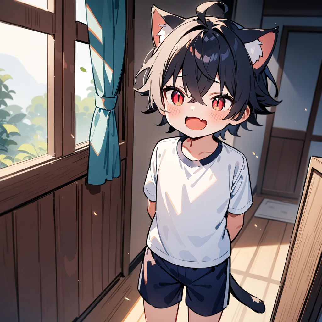 （masterpiece：1.2，high quality），4K，High resolution，A -year boy，e boy， black hair，short hair，crossed bangs，red eyes，slit pupils， ahoge，cat ears，laughing，skin fang，Wearing a white shirt，dark blue sports shorts，Standing in the room，Next to it is the window，curtain，primary sche，cat tail，((Hands behind your back))