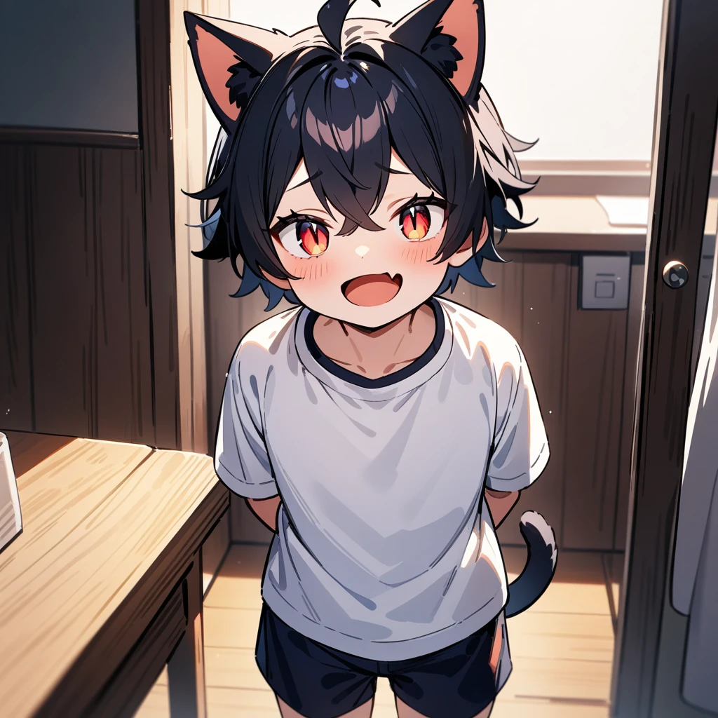 （masterpiece：1.2，high quality），4K，High resolution，A four-year-old boy，cute boy， black hair，short hair，crossed bangs，red eyes，slit pupils， ahoge，cat ears，laughing，skin fang，Wearing a white shirt，dark blue sports shorts，Standing in the room，Next to it is the window，curtain，primary school student，thigh，alone，cat tail，((Hands behind your back))