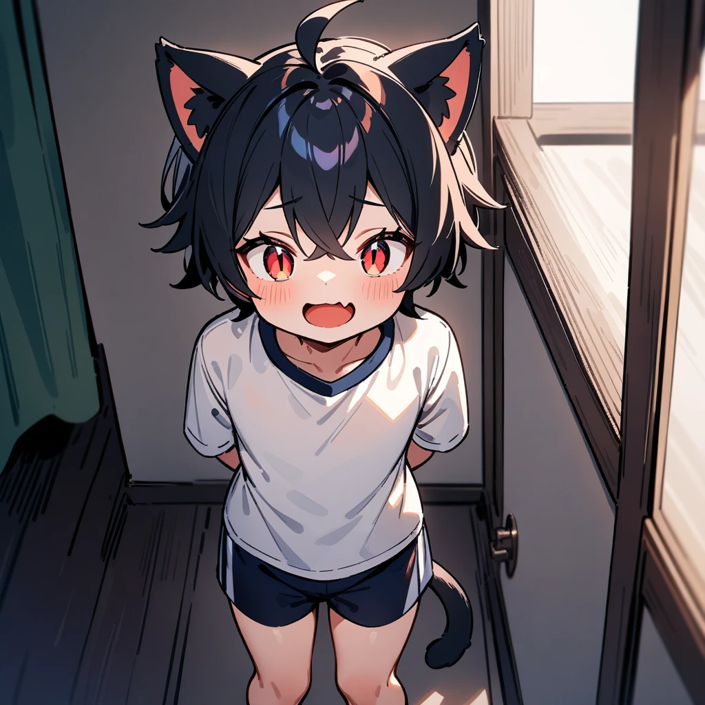 （masterpiece：1.2，high quality），4K，High resolution，A four-year-old boy，cute boy， black hair，short hair，crossed bangs，red eyes，slit pupils， ahoge，cat ears，laughing，skin fang，Wearing a white shirt，dark blue sports shorts，Standing in the room，Next to it is the window，curtain，primary school student，thigh，alone，cat tail，((Hands behind your back))