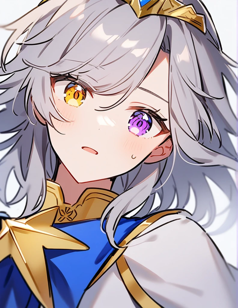 One girl,Purple eyes、Yellow Eyes、Odd Eye、Gray Hair、Princess of the Star Kingdom、Meritocracy、Downward