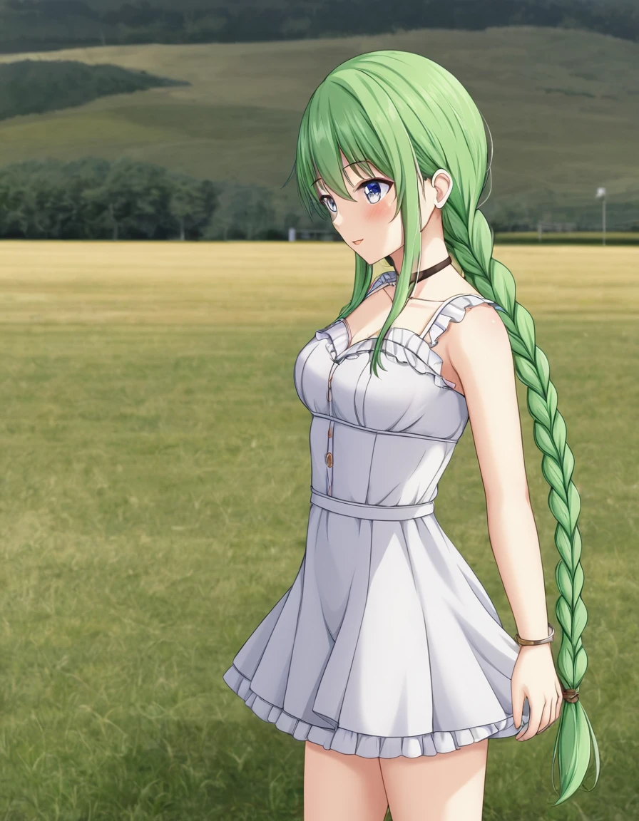 girl、About 20 years old、Green Hair、Long braids、Standing in the field、dress、