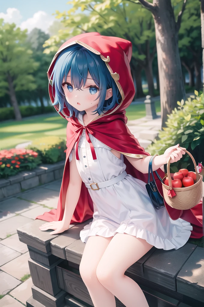 (masterpiece),(highest quality),highres,(an extremely delicate and beautiful),(extremely detailed),Amazing,finely detail,(flat:1.3),(petite),
1girl,fruit,apple,basket,solo,food,blue eyes,little red riding hood (grimm),little red riding hood (grimm) (cosplay),blue hair,holding basket,outdoors,forest,short hair,holding,hood,red hood,nature,dress,tree,hair between eyes,cosplay,bangs,hood up,red capelet,:o,red cloak,blush,day,hooded capelet,
