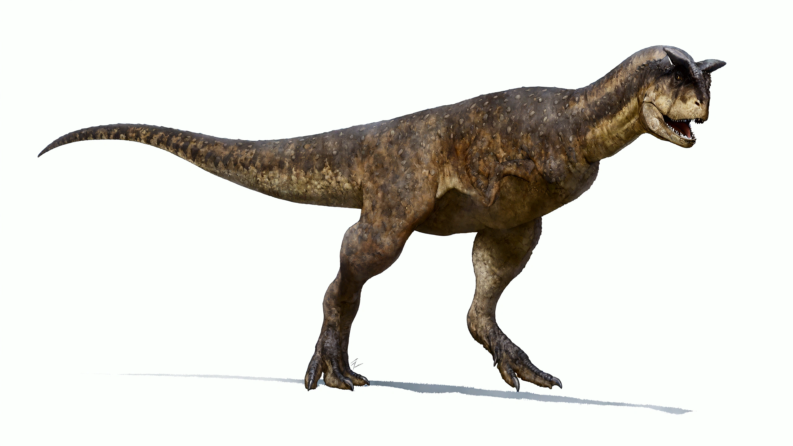 arafed dinosaur with its mouth open and its mouth wide open, Tyrannosaurus, Allosaurus, carnivore dinosaur, Tyrannosaurus rex, Tyrannosaurus, trex dinosaur, rottweiler dinosaur hybrid, T Rex, t-rex, trex, Sauropidae Hybrid, Nacosaurus, dinosaur, high quality topical render, Illustration of
