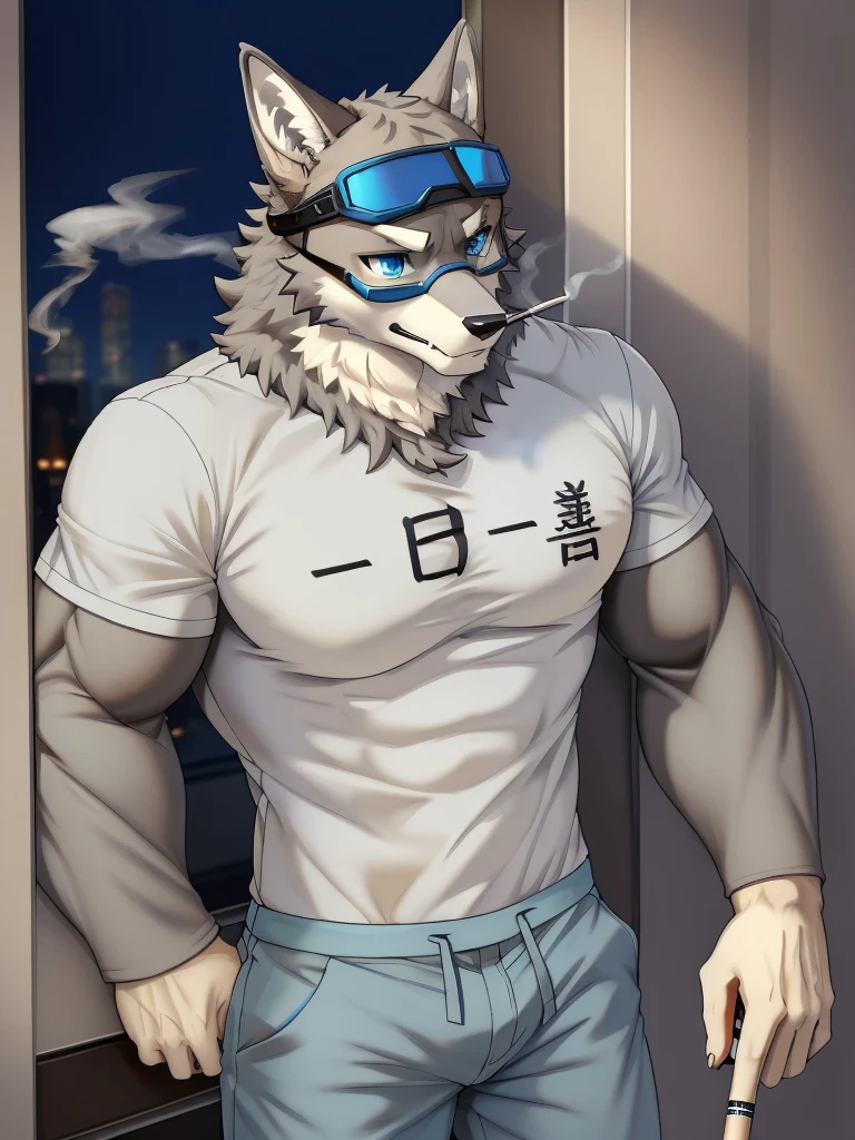 Masterpiece, Solo, Furry Gray Dragon, Adult, Gray Fur, Blue Eyes, Gray Short Hair, Muscular Body, Good Looking, Handsome, Fierce, Casual Shirt, Casual Pants, Blue Goggles,