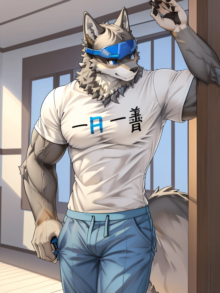 Masterpiece, Solo, Furry Gray Dragon, Adult, Gray Fur, Blue Eyes, Gray Short Hair, Muscular Body, Good Looking, Handsome, Fierce, Casual Shirt, Casual Pants, Blue Goggles,