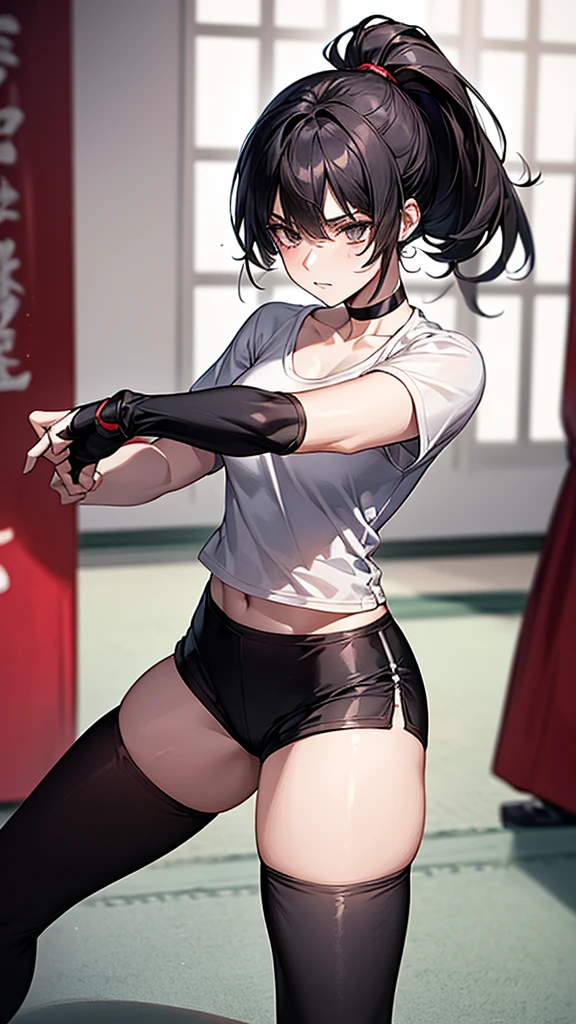 ((Highest quality)), ((masterpiece)), (detailed) {{{Slender female martial arts instructor}}} Shorts {{Décolletage}} White short sleeve T-shirt Mature Woman ((Combat Stance)) Long fingerless gloves Black tights {{Inside the dojo}} Black Hair ponytail ((Leggings with integrated shorts)) clavicle choker
