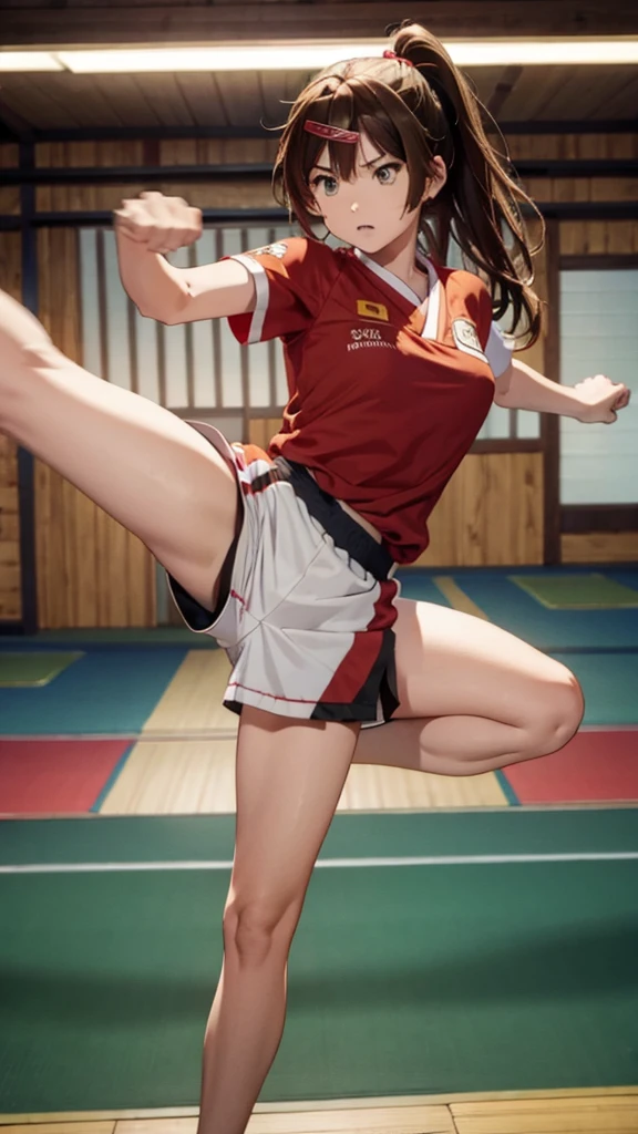 Chinese woman, in fancy black dress shirt, red velvet skirt, white frilly satin panties, pigtails with ribbons hairstyle, red and gold bracers, black long cotton socks, performing a high kick, anime art style, intricate details