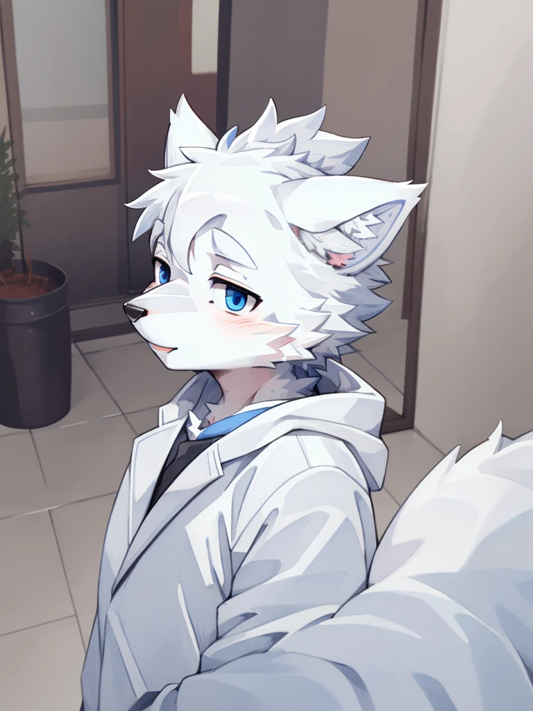 grey Wolf, (all white fur:1.5), lonely, Perfect sky blue eyes, neck, wearing a white suit, (artist:Arashi Takemoto), look ahead, Madurese way, Seniors, simple background, naughty face, flash, long eyelashes, naughty face, reach, from the side, Tonality, standing photo, Best Quality, ultra high definition, Super detail, High detail