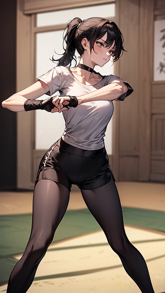 ((Highest quality)), ((masterpiece)), (detailed)　｛{{Slender female martial arts instructor}}｝　Shorts　{{Décolletage}}　{{White short-sleeved T-shirt with long length}}　Mature Woman　((Combat Stance))　Long fingerless gloves　Black tights　{{Inside the dojo}}　Black Hair　ponytail　((Leggings with integrated shorts))　clavicle　choker