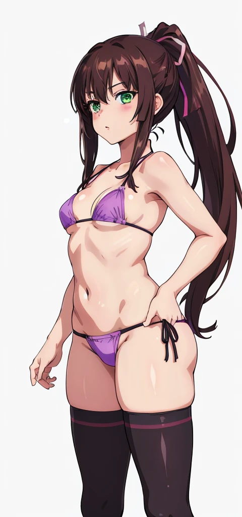 masterpiece, best quality,1girl,solo,kirasaka sayaka,brown hair,long hair,ponytail, hair ribbon, green eyes,,purple thighhighs, wariza, (bikini).