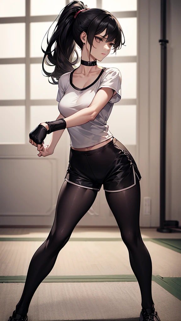 ((Highest quality)), ((masterpiece)), (detailed)　｛{{Slender female martial arts instructor}}｝　Shorts　{{Décolletage}}　{{White short-sleeved T-shirt with long length}}　Mature Woman　((Combat Stance))　Long fingerless gloves　Black tights　{{Inside the dojo}}　Black Hair　Long-haired ponytail　((Leggings with integrated shorts))　clavicle　choker
