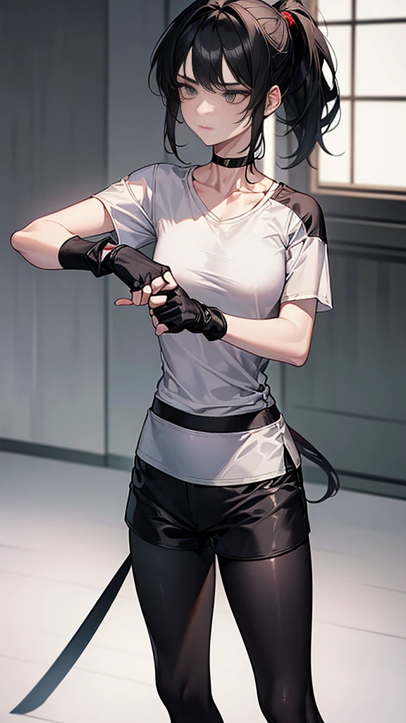 ((Highest quality)), ((masterpiece)), (detailed) {{{Slender female martial arts instructor}}} Shorts {{Décolletage}} {{White short-sleeved T-shirt with long length}} Mature Woman ((Combat Stance)) Long fingerless gloves Black tights {{Inside the dojo}} Black Hair Long-haired ponytail ((Leggings with integrated shorts)) clavicle choker