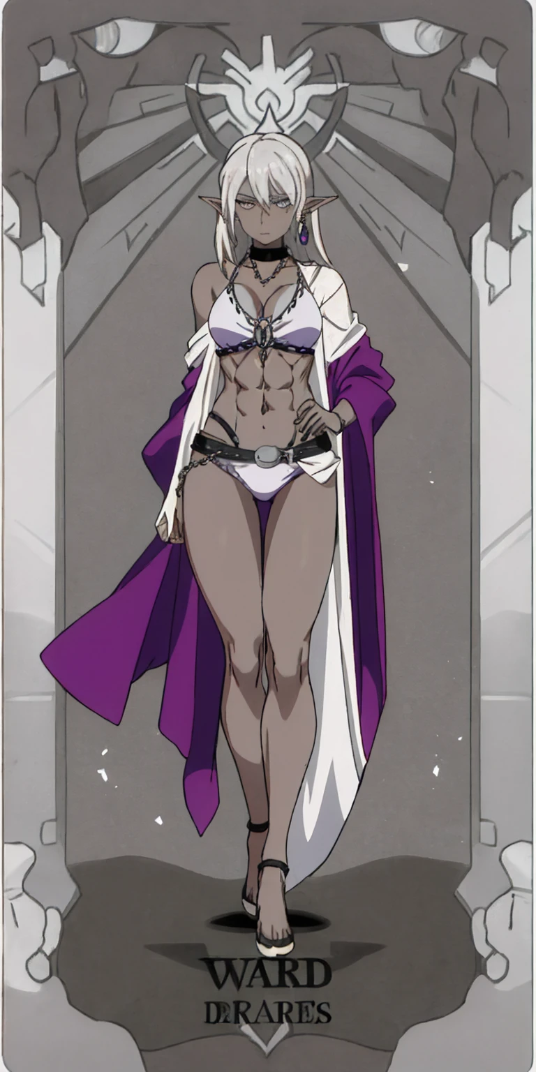 Appearance
Gender: Female
Age: Mature
Race: Drow (elf with dark skin and white hair)
Height: Full-body
Skin: Gray
Skin: Gray
Background: Plain Gray
Eyes: Purple
Attire: Bikini, revealing abdominal muscles
Accessories: Large earrings, ragged rags, chain necklace