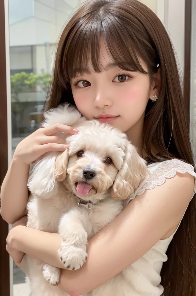 Young and pretty girl、Brown long hair、bangs、Holding a white poodle and resting it on her cheek, more prism, 